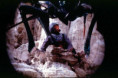 Humans Against The Reptilian Arachnids